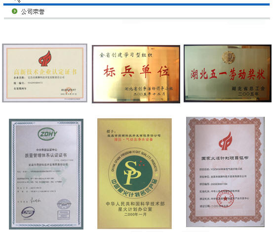 公司榮譽