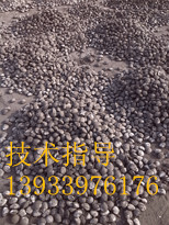 鐵精粉球團粘合劑